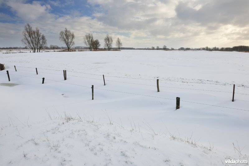 Woumenbroek