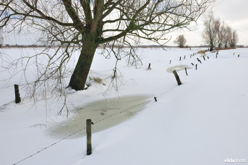 Woumenbroek