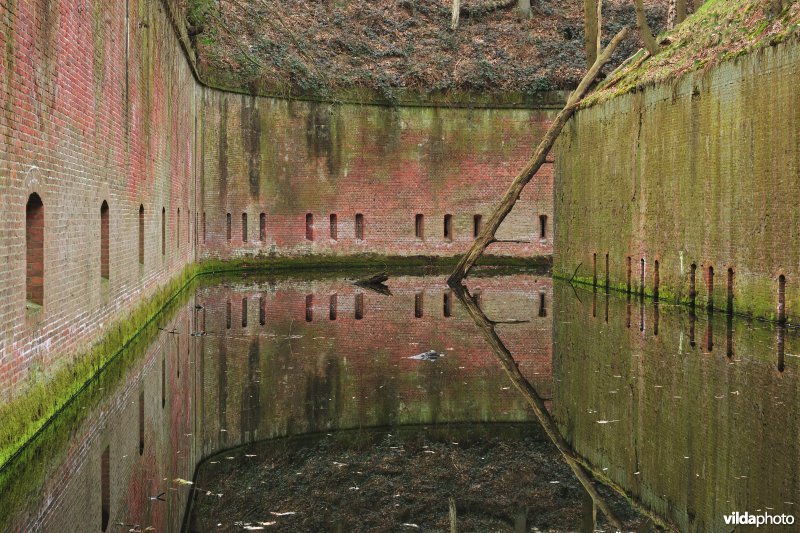 Fort Steendorp
