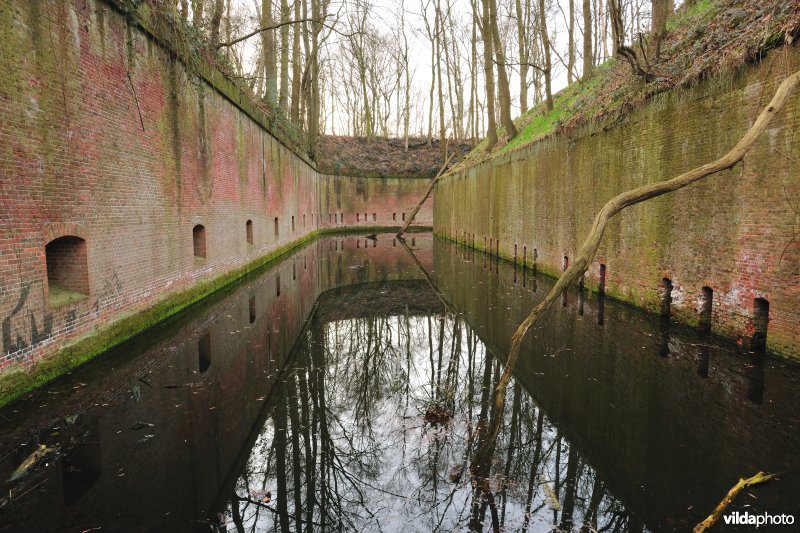 Fort Steendorp