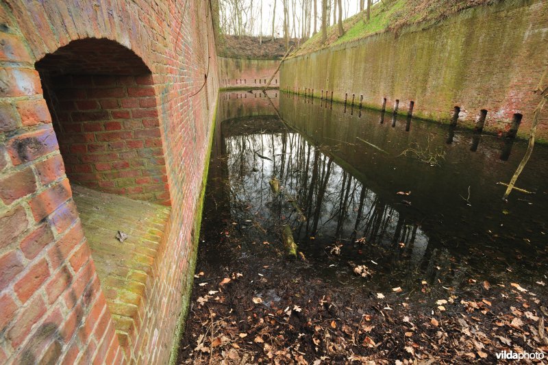 Fort Steendorp