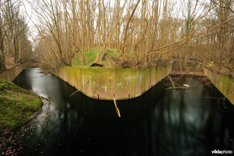 Fort Steendorp