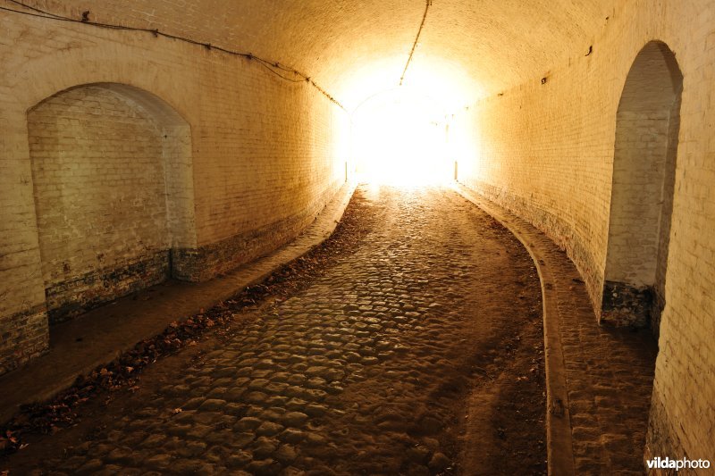 Fort Steendorp