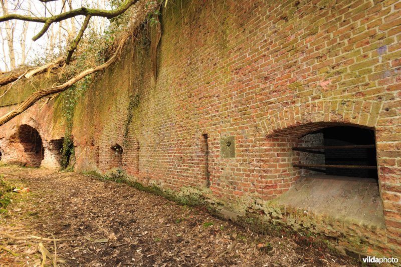 Fort Steendorp