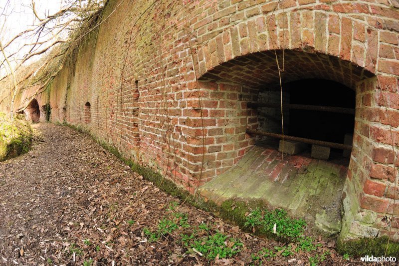 Fort Steendorp