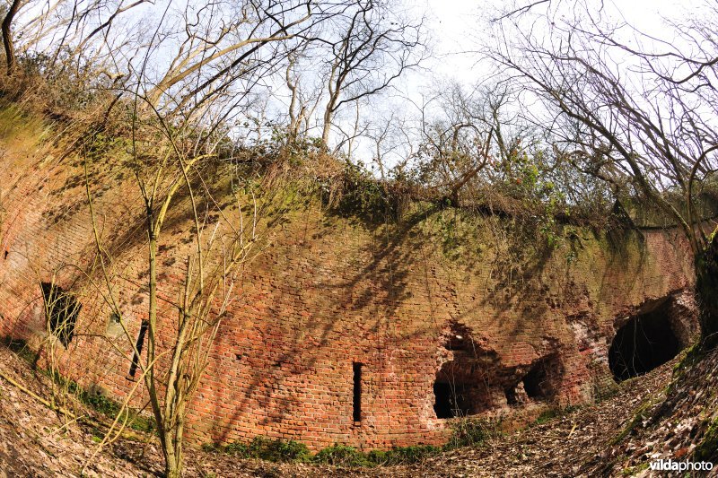 Fort Steendorp