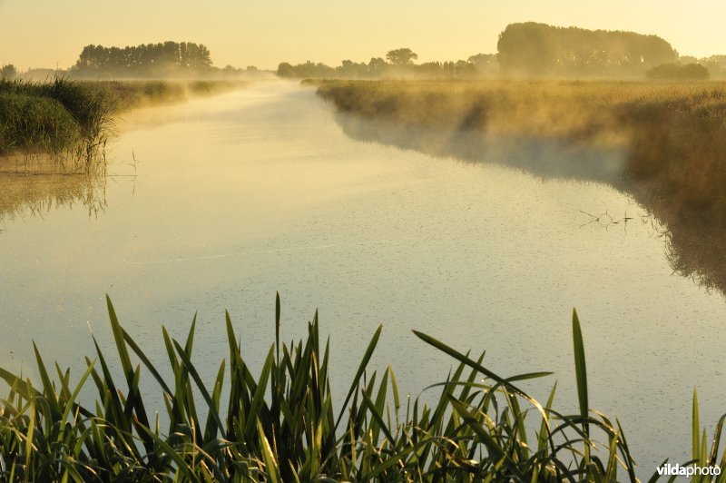 Kerkevaart