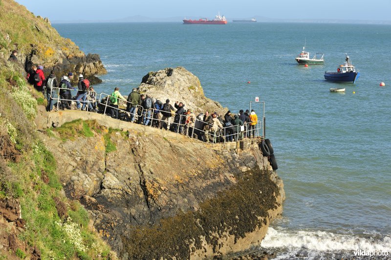 Wachtrij voor overzetbootje naar Skomer