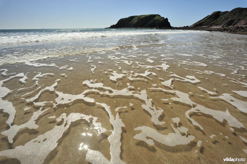 Strand van Wales