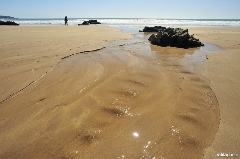 Strand van Wales
