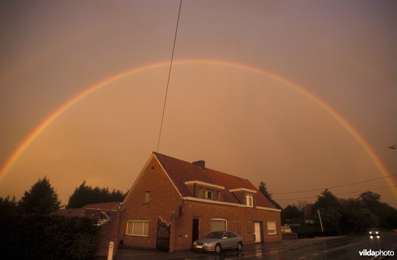 Regenboog