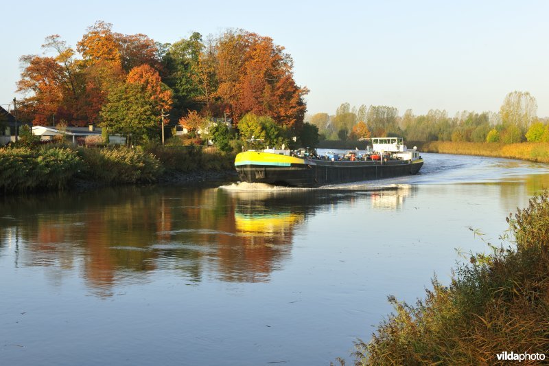 Vrachtboot op de Schelde