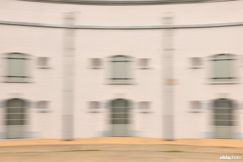 Ronddraaiende kat in Fort Liefkenshoek