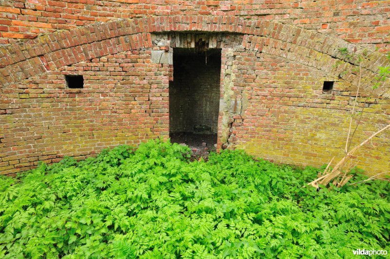 Remise en bastiontoegang in het Fort Liefkenshoek