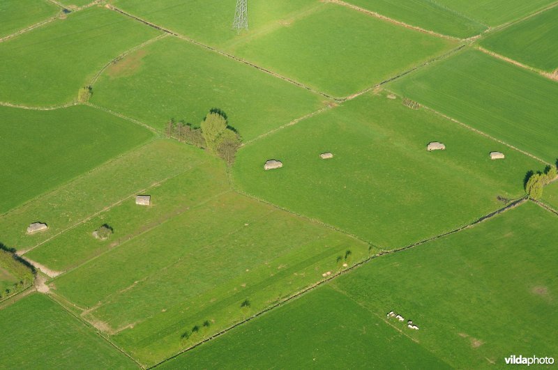 Bunkerlinie rond Haasdonk