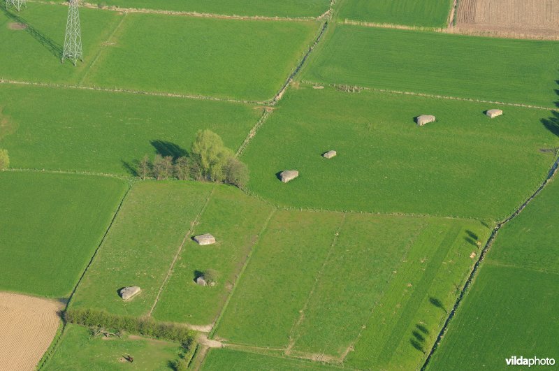 Bunkerlinie rond Haasdonk