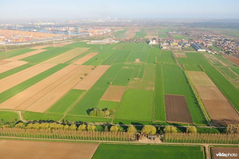 Cauwensteinse dijk