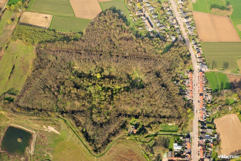 Fort Steendorp