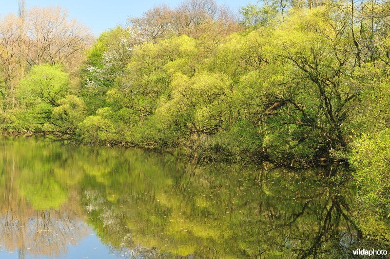 Walgracht van Fort 4 in lentetooi