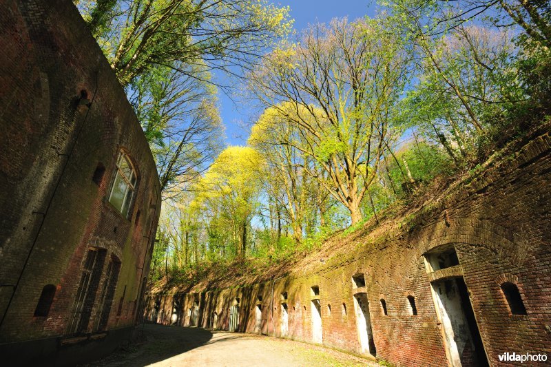Fort 4