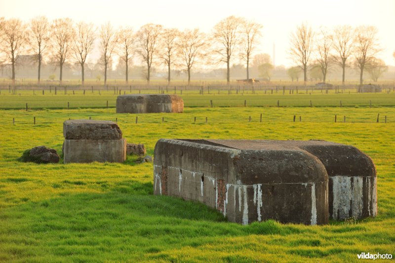 Bunkerlinie