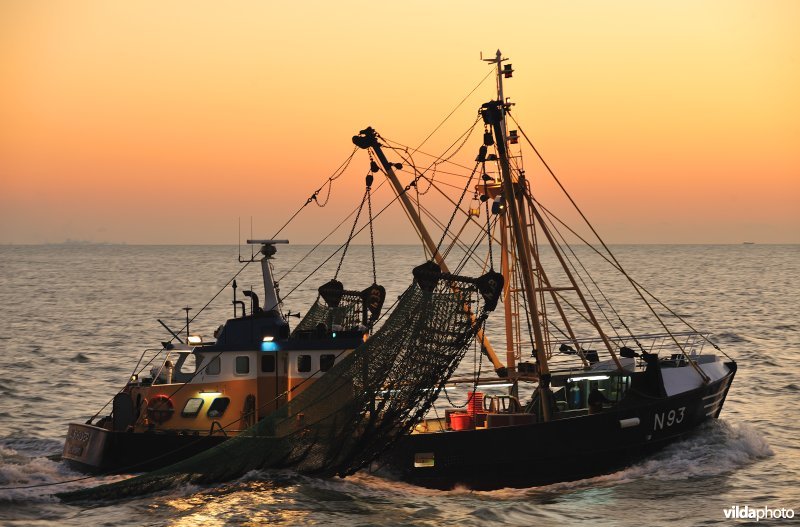 Vissersboot in de IJzermonding