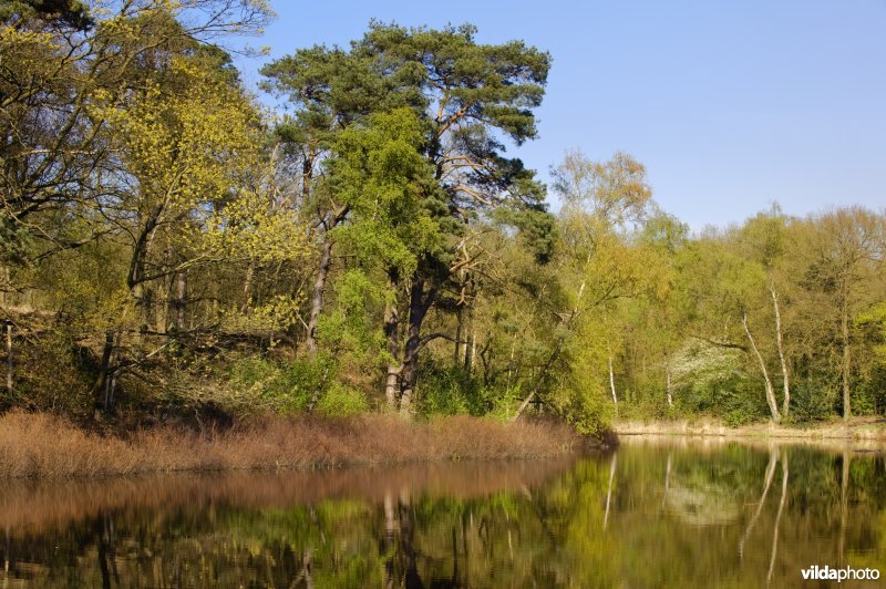 Lunetten Vught