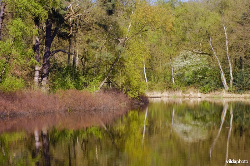 Ven bij Vught