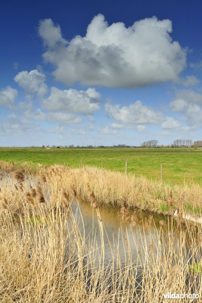 Vallei van de Handzame
