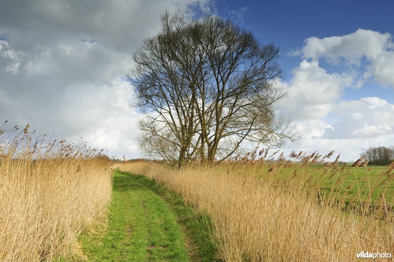 Vallei van de Handzame