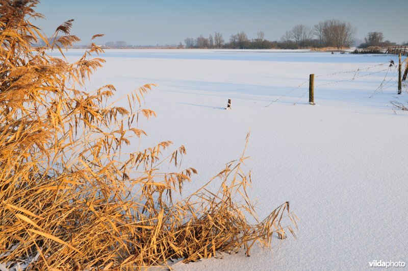 Besneeuwde Rillebroeken