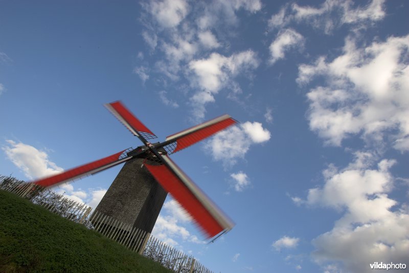 Windmolen in Wannegem