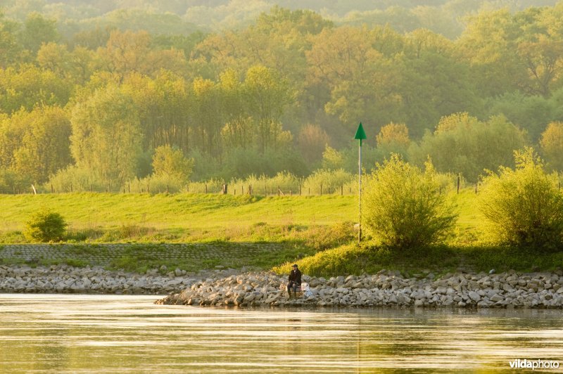 Visser aan de IJssel