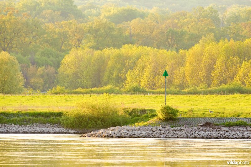 IJssel