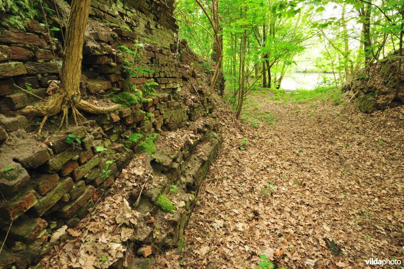 Fort Walem