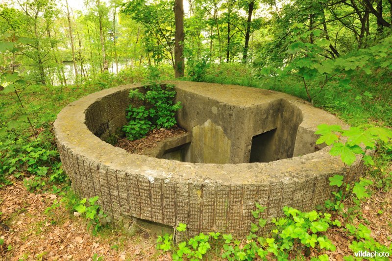 Fort Walem