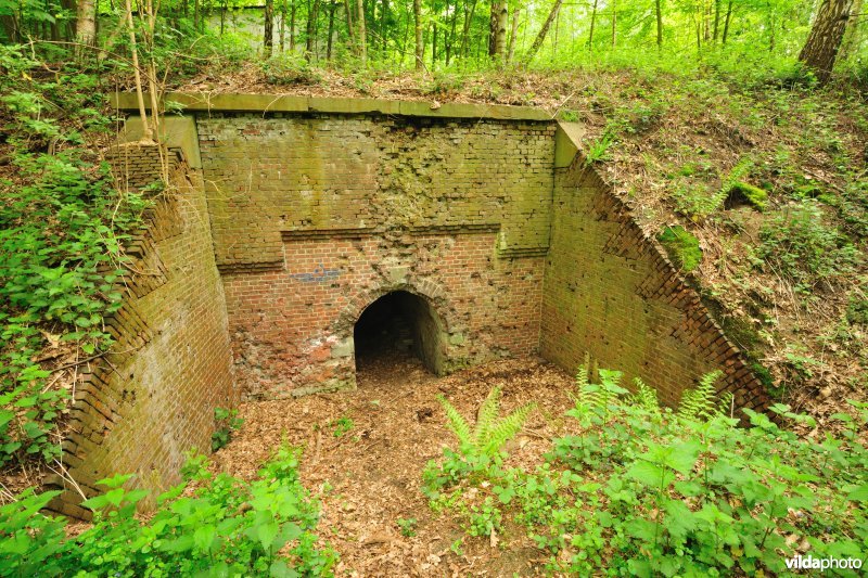 Fort Walem