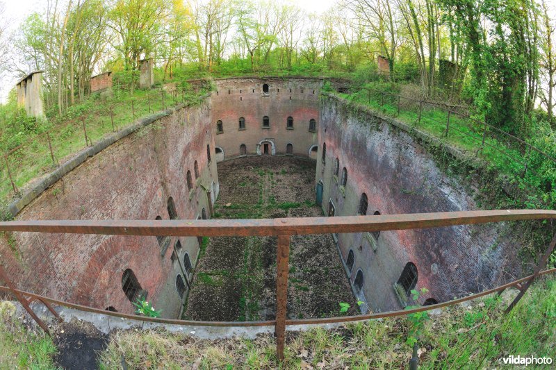 Fort 7
