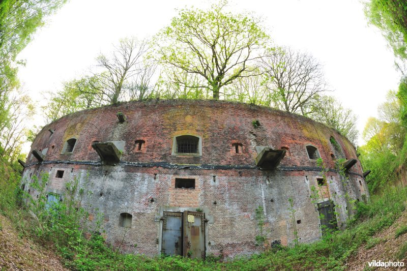 Fort 7
