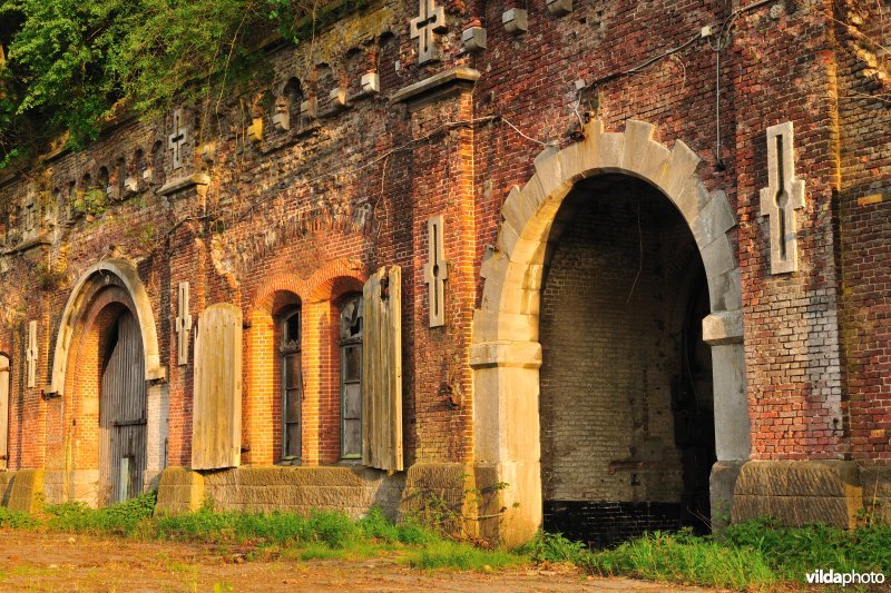 Fort 7