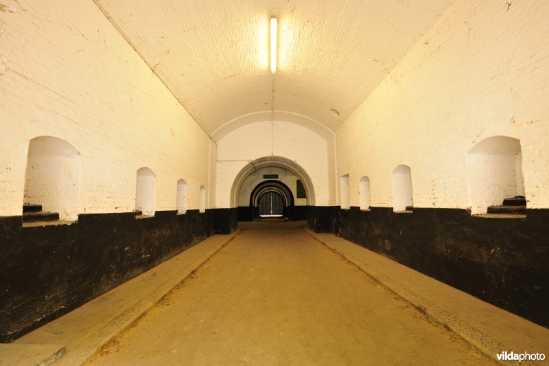 Fort 2
