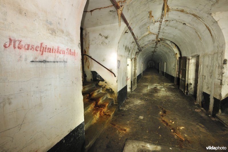 Fort Haasdonk