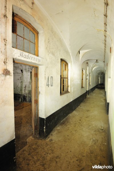 Fort Haasdonk