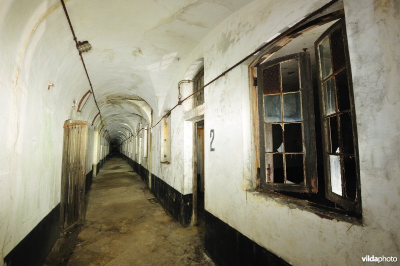 Fort Haasdonk