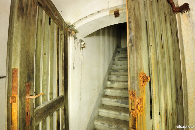 Fort Haasdonk