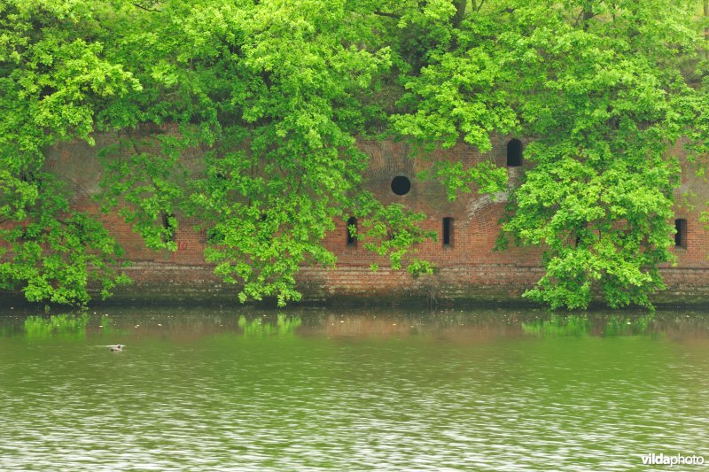 Fort van Borsbeek