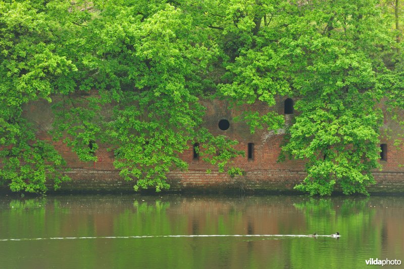 Fort van Borsbeek
