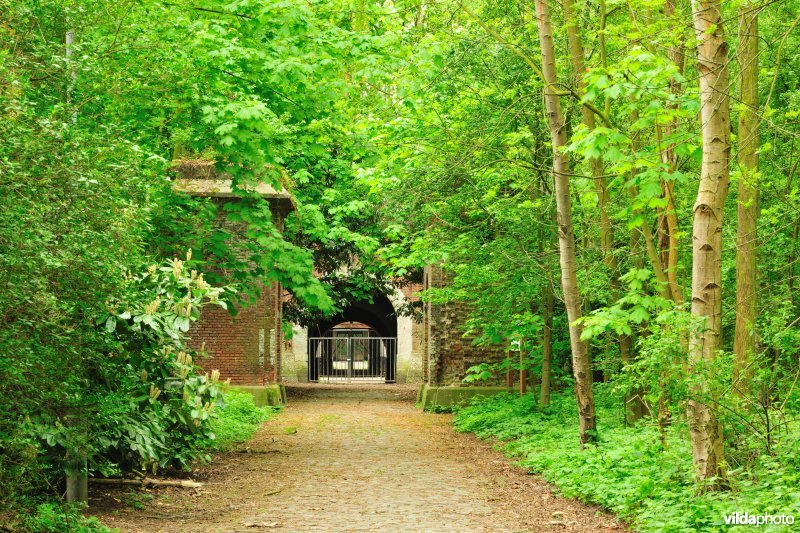 Fort 5