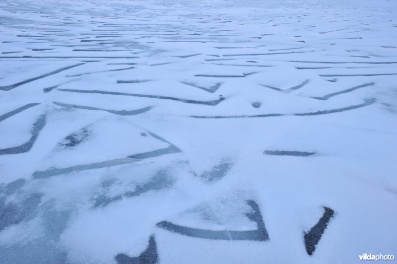 Patronen in het bevroren meer van Abisko