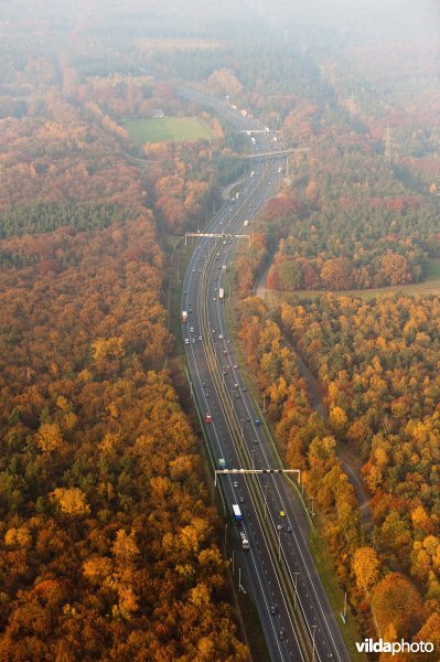 Luchtfoto van de snelweg A50 en bossen in herfstkleuren